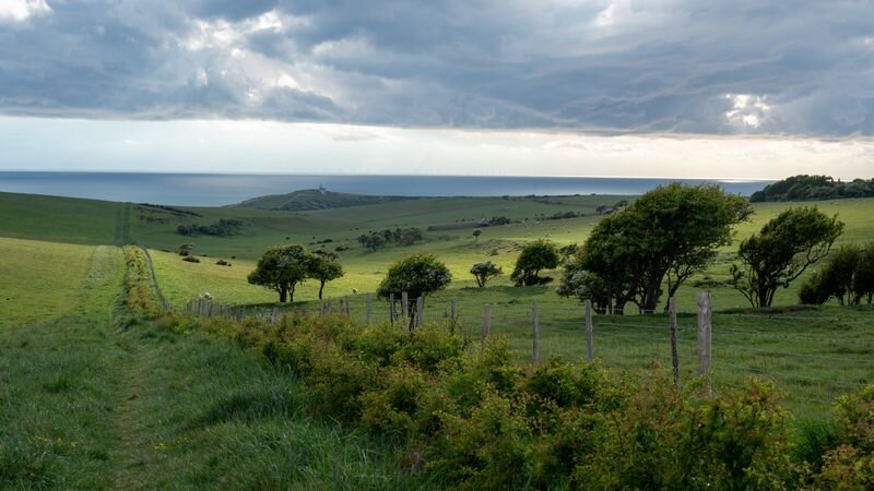 Rolling green farmland with grazing sheep, wind-bent trees, and a wooden fence leading toward cliffs above the sea under a stormy sky
